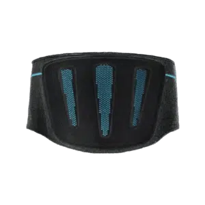 Baksidan av Formfit Pro Back ryggstöd i svart med blå ventilationszoner.