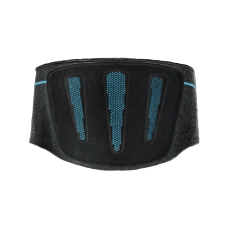 Baksida av ryggstöd – Formfit® Pro Back Baksidan av Formfit Pro Back ryggstöd i svart med blå ventilationszoner.