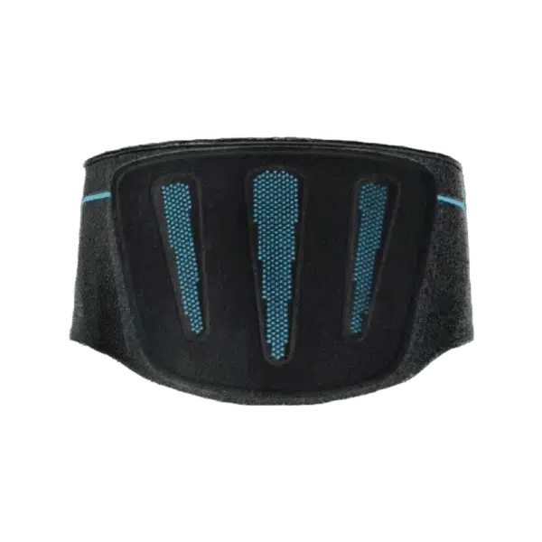 Baksidan av Formfit Pro Back ryggstöd i svart med blå ventilationszoner.