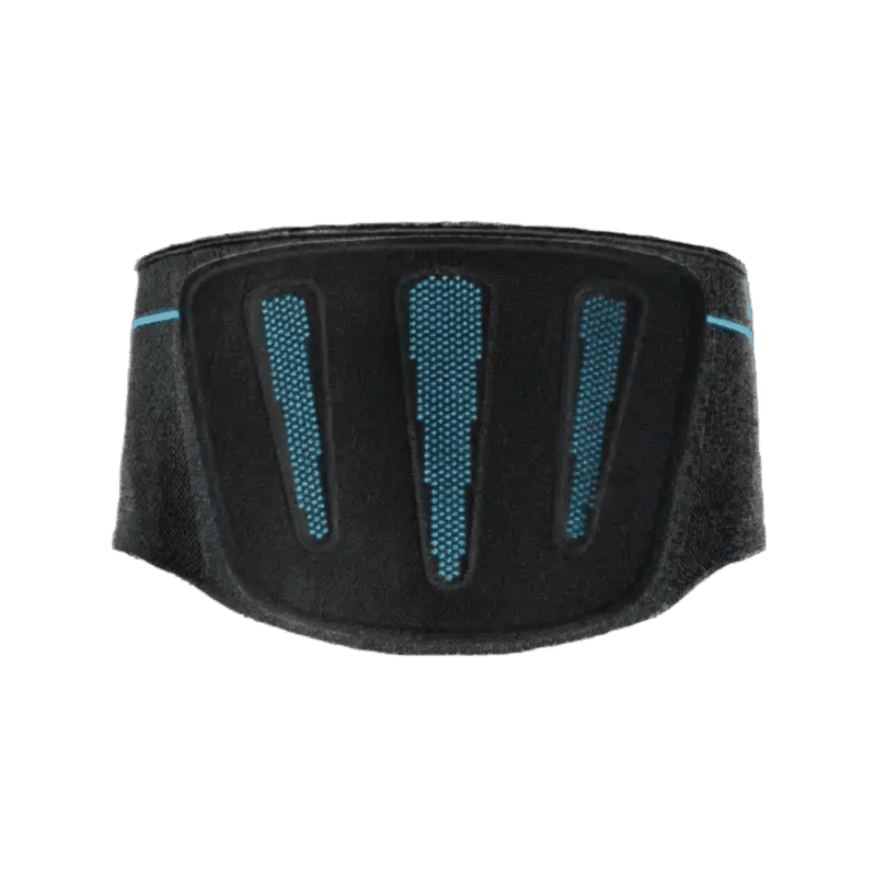 Baksida av ryggstöd – Formfit® Pro Back Baksidan av Formfit Pro Back ryggstöd i svart med blå ventilationszoner.