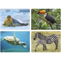 a collage of different animals