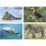 a collage of different animals