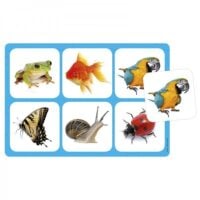 Maxilotto Animal Games