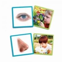 Sensory training cards illustrating sight and smell with pictures of the eye, nose and child in activity